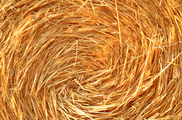 Field after harvest with straw bales at sunset