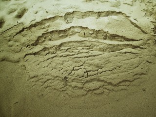 Background of sand