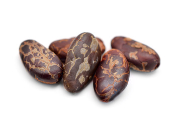 Roasted Cocoa beans