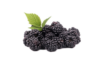 Blackberry