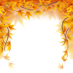 Autumn branches frame with maple leaves on white background