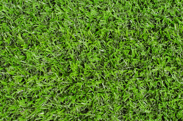 green grass. natural background texture. fresh spring green gras