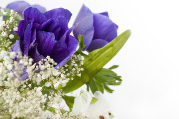 Bouquet of blue anemones