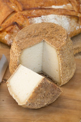 tomme de savoie 29082015