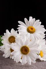 Obraz premium Leucanthemum vulgare on a wooden table, isolated on a black background