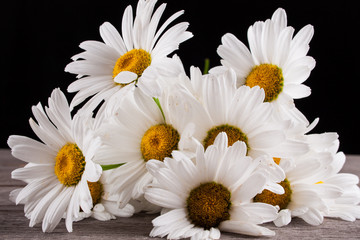 Obraz premium Leucanthemum vulgare on a wooden table, on a black background