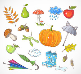 Set of autumn elements. Vector illustration.