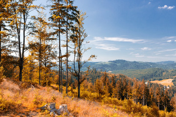 Fototapeta premium Mountain landscape.