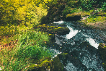 Waterfall in the forest