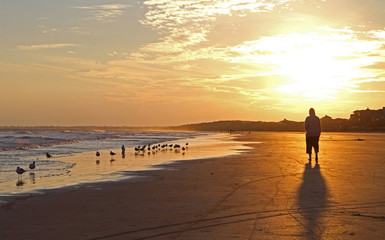 Fototapeta na wymiar Beach Walker at Sunset