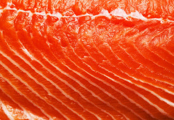 Salmon Steak Background