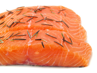Raw salmon with rosemary