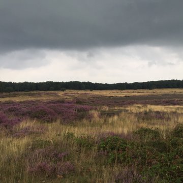 lovely view at rainy clouds 
