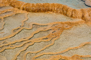 Mammoth hot spring, Yellowstone National Park