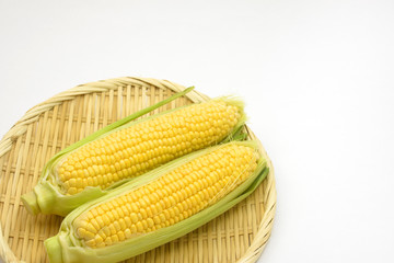 夏野菜　とうもろこし/目にも鮮やかな夏野菜です。