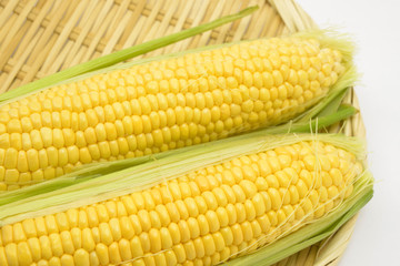 夏野菜　とうもろこし/目にも鮮やかな夏野菜です。