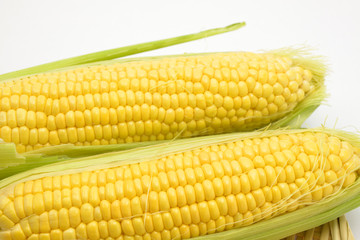 夏野菜　とうもろこし/目にも鮮やかな夏野菜です。