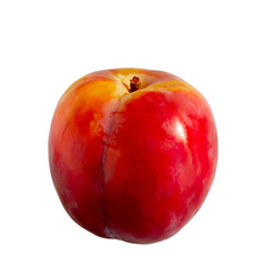 Ripe plum isolated