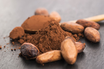 cacao beans and cacao powder in spoon