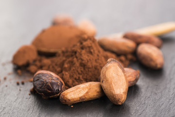 cacao beans and cacao powder in spoon
