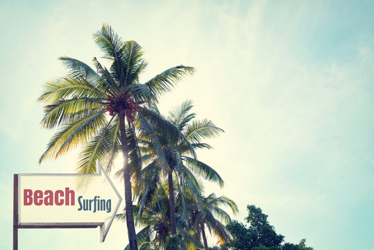 Vintage surf beach signage and coconut palm tree on tropical beach blue sky with sunlight of morning in summer,  instagram retro filter