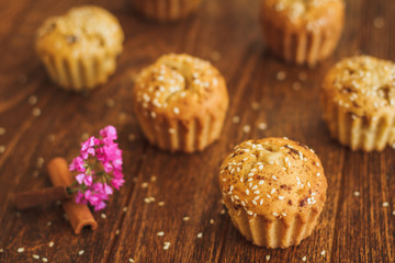 Light muffins with sesame on dark wooden background