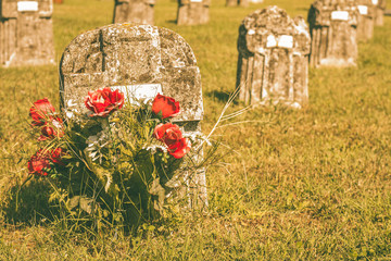 Flowers in a graveyard