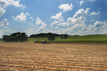 Fototapeta na wymiar Farm with red barn, corn and hay in Kentucky