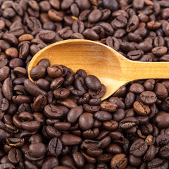 Coffee beans and wooden spoon on white background.