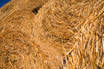 Piled hay bales on a field against blue sky