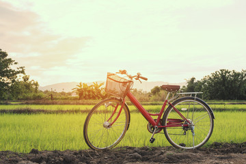 Fototapeta na wymiar Red bicycle parked in meadow on a sunny morning. rustic landscape