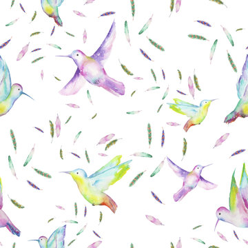 Seamless pattern of colored colibri and feathers painted with watercolors on a white background