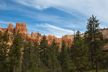 Fototapeta na wymiar Red Rock Formations at Bryce Canyon
