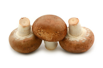 Champignons freigestellt