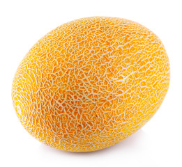 Fresh melon isolated on white