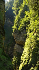 schöner lichtdurchfluteter Canyon in den Alpen in Europa
