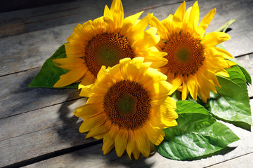 Obraz premium Beautiful bright sunflowers on wooden table close up
