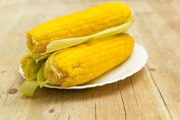 Fresh boiled corn in a plate
