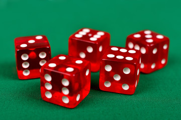 dice on green table