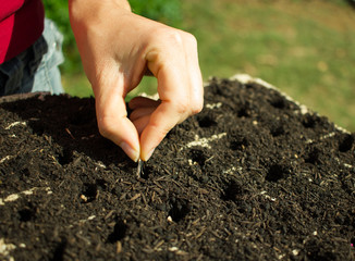 Woman Planting Seeds
