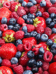 Berries