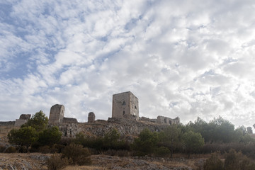 Fototapeta na wymiar Castillo de la Estrella en Teba, Málaga