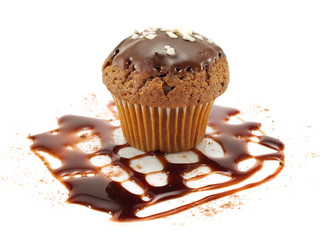 Chocolate Muffin