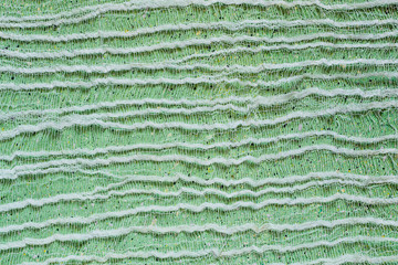Green background with tenuous gauze on the surface