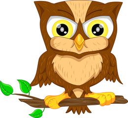 cute owl cartoon