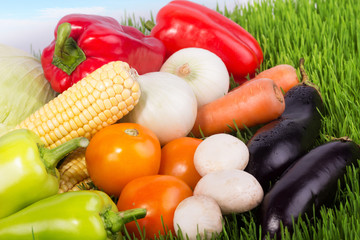 Ripe vegetables on green grass