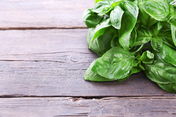 Green fresh basil on wooden background