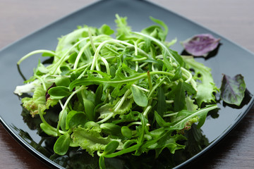 Fresh mixed green salad on plate close up