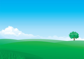 Summer landscape of green fields with grass and alone tree. 