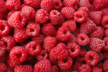 Heap of sweet red raspberries close up